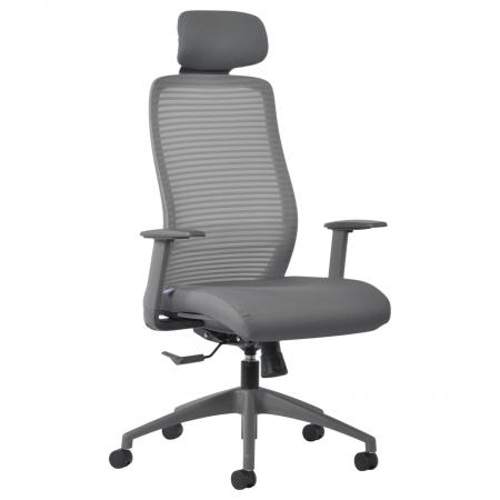 Cherryman Eon User Friendly Ergonomic Mesh Chair